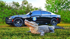 Florida Highway Patrol Trooper car County and City Police Procedures for DUI Enforcement